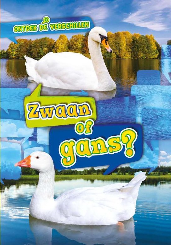 Ontdek de verschillen - Zwaan of gans?