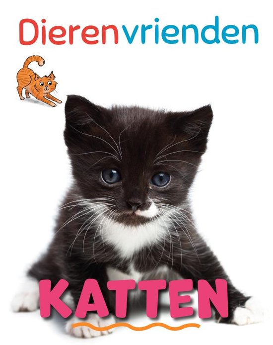 Dierenvrienden - Katten