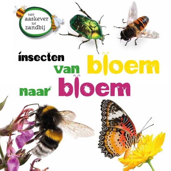 Van aaskever tot zandbij - Insecten van bloem tot bloem