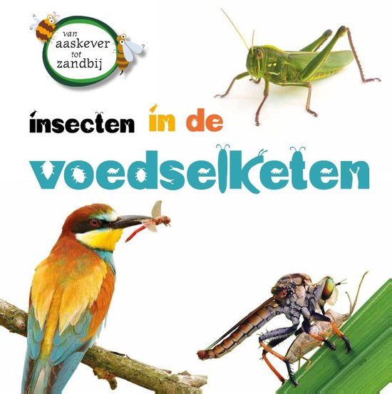 Van aaskever tot zandbij - Insecten in de voedselketen