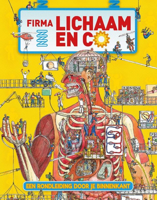 Firma Lichaam & Co