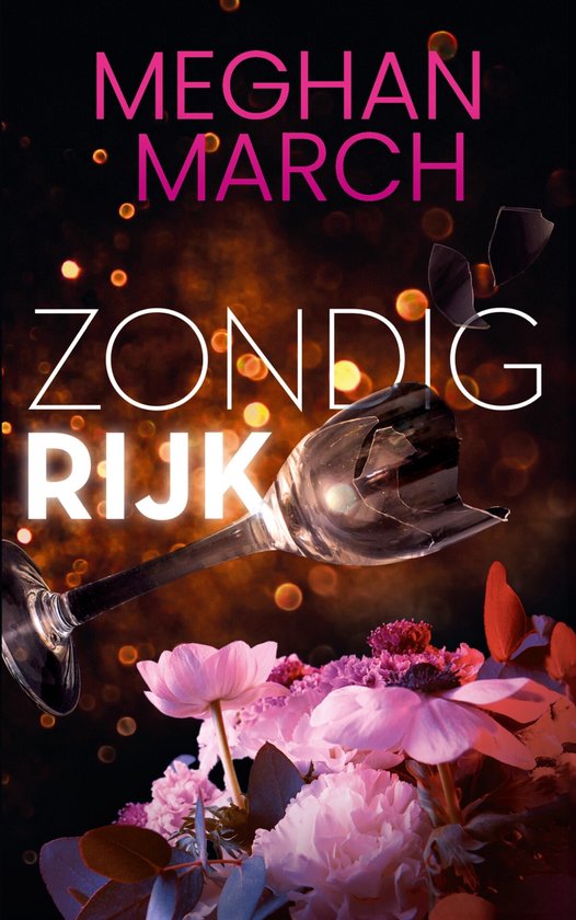 Zondig 1 - Zondig rijk