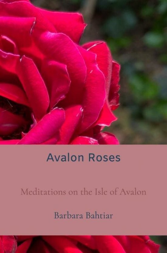 Avalon Roses