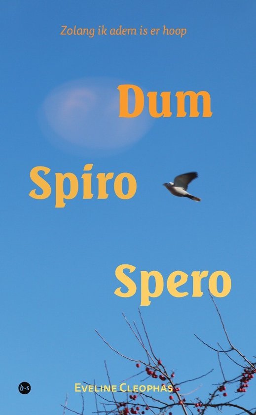 Dum Spiro Spero