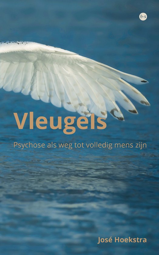 Vleugels