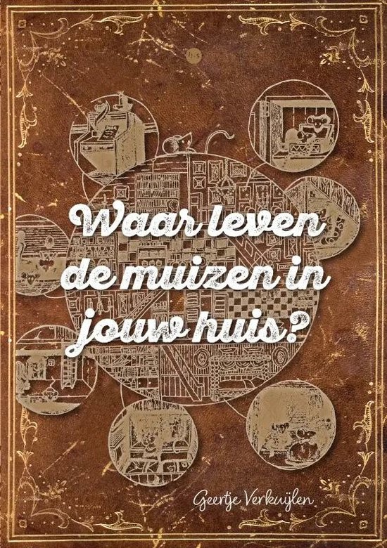 Waar leven de muizen in jouw huis?