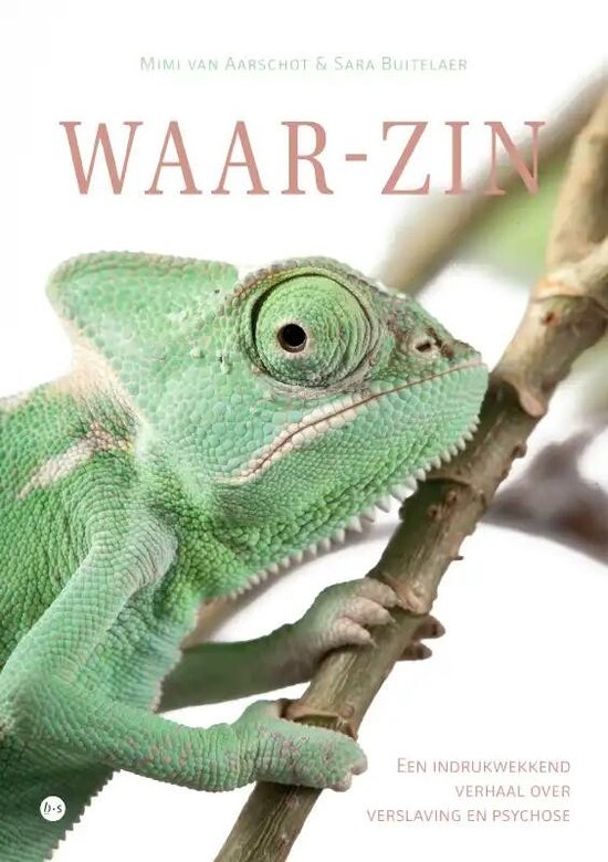 Waar-zin