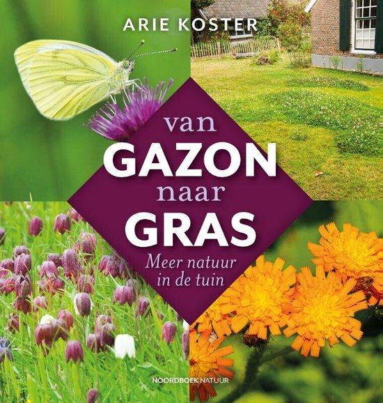 Van gazon naar gras