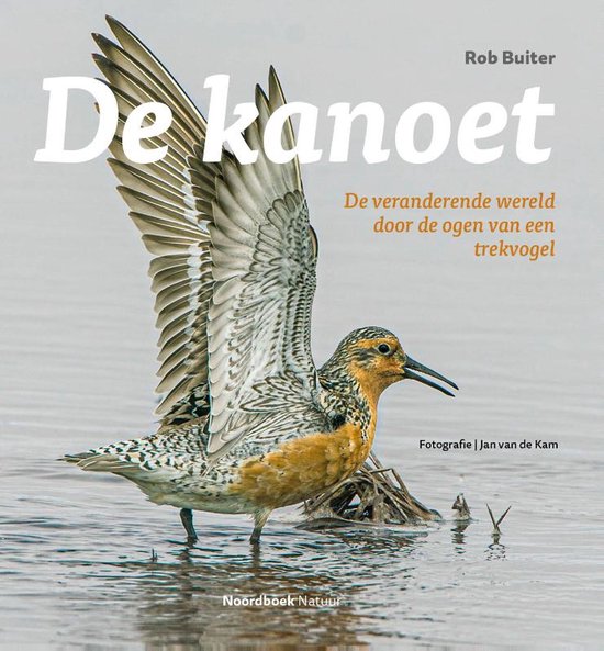 De kanoet