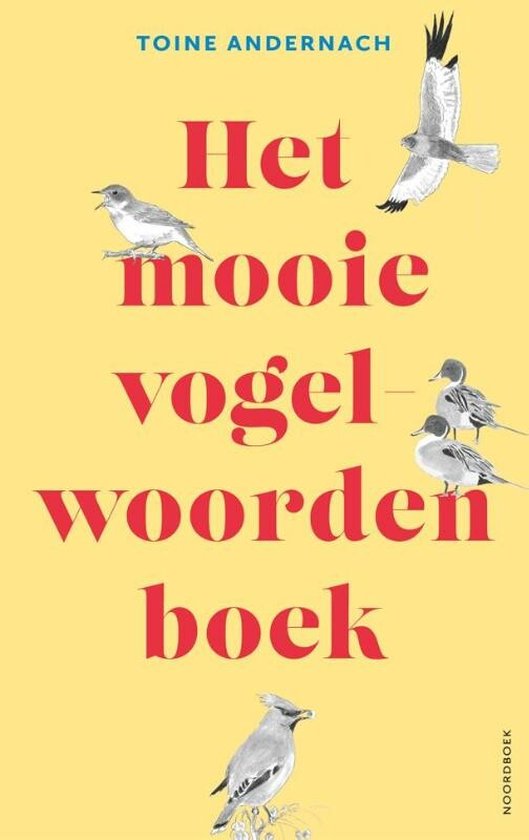 Het mooie vogelwoorden boek