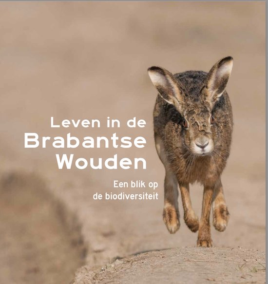 Brabantse Wouden