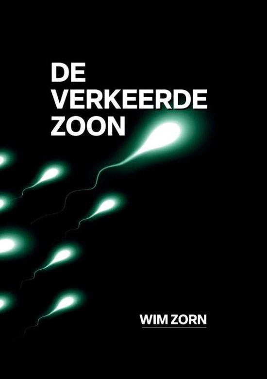 DE VERKEERDE ZOON