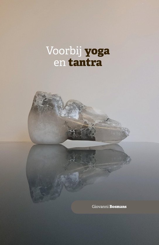 Voorbij yoga en tantra