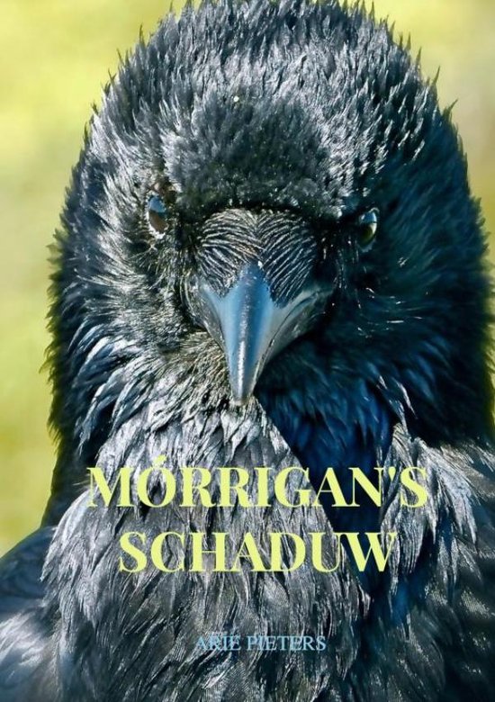 Mórrigan's schaduw