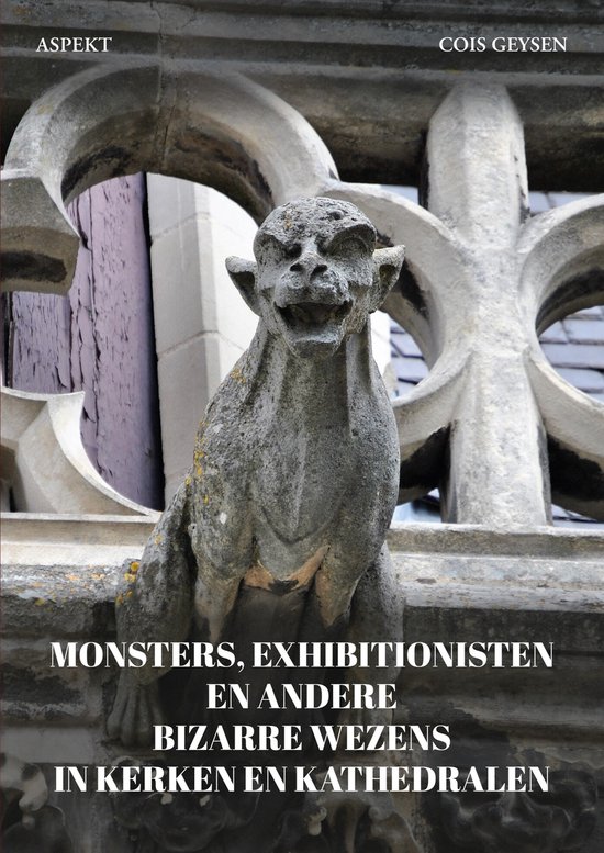 Monsters, exhibitionisten en andere bizarre wezens in kerken en kathedralen