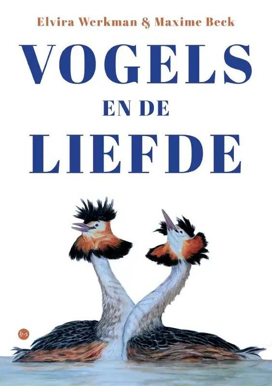 Vogels en de liefde