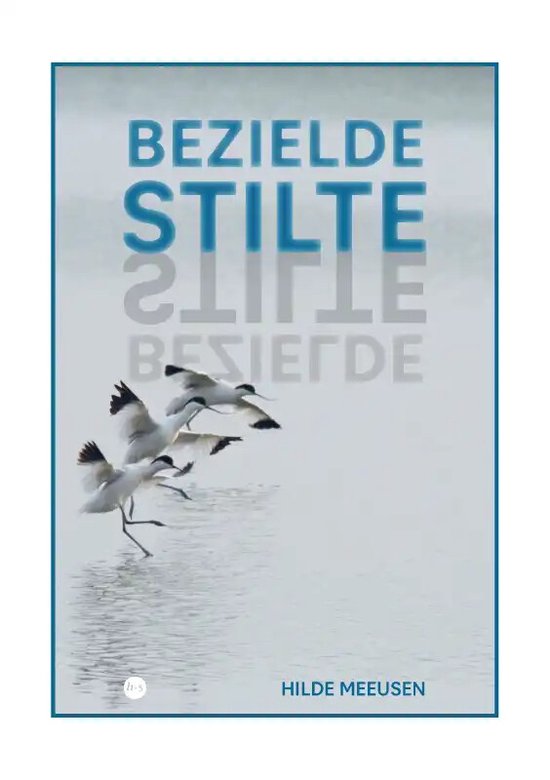 Bezielde stilte