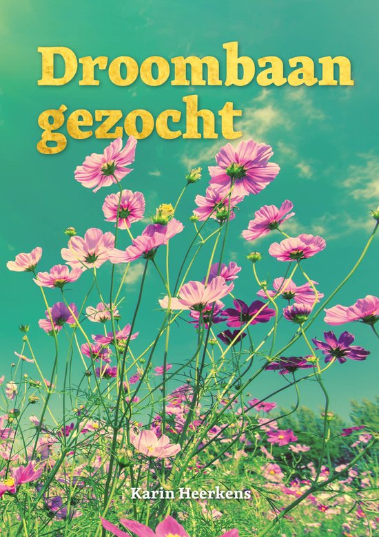 Droombaan gezocht