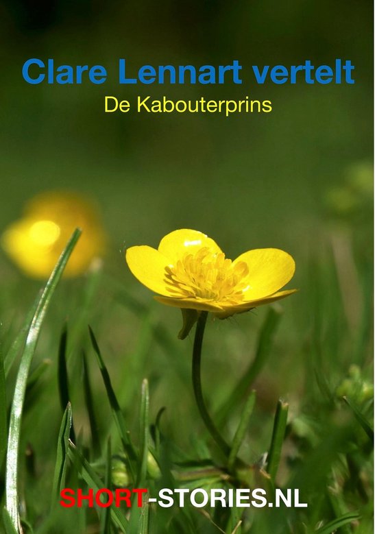 De kabouterprins