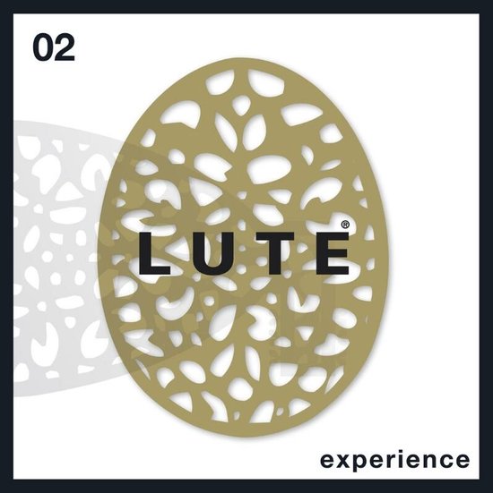 Lute Bookazine 2 - Experience