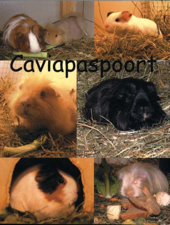 Caviapaspoort