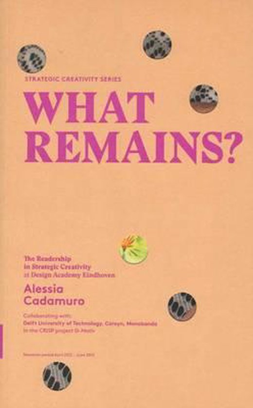 What Remains - Strategic Creativity Series