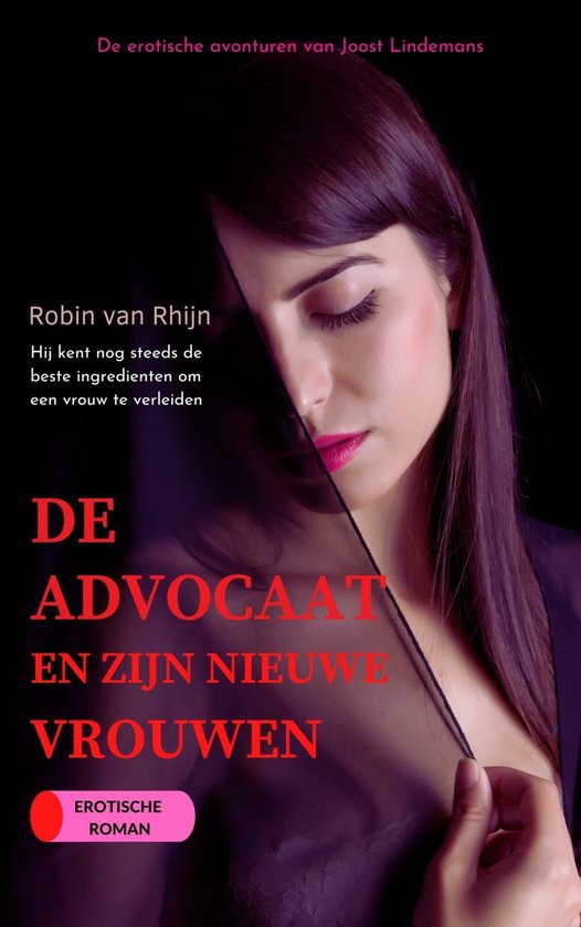 De advocaat en zijn vrouwen 2 - De advocaat en zijn nieuwe vrouwen