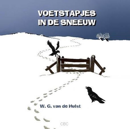 Voetstapjes in de sneeuw LUISTERBOEK