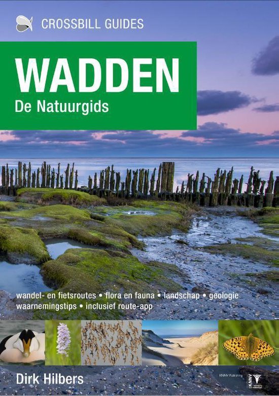 Wadden