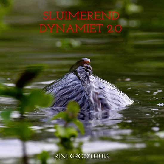 Sluimerend Dynamiet 2.0 - Het testament ( Karper )