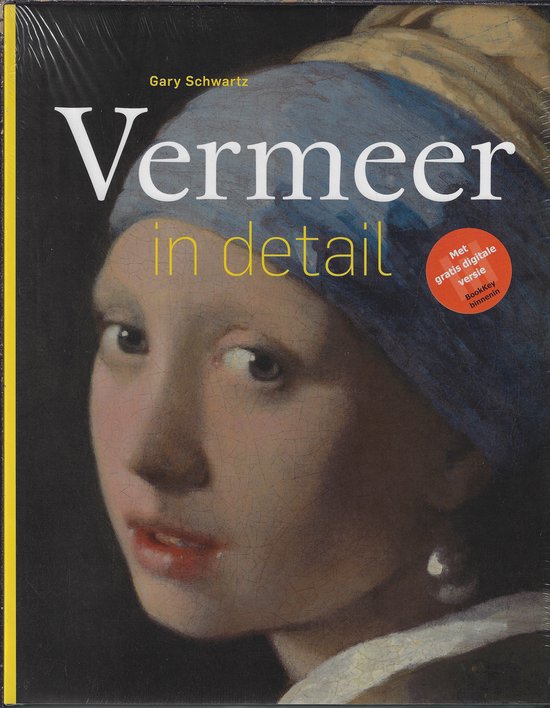 Vermeer in detail