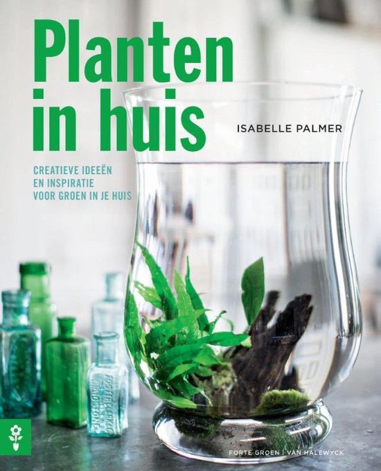 Planten in huis