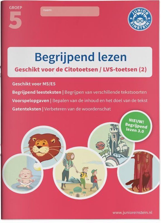 Begrijpend lezen 2 Oefenboek