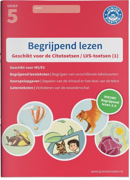 Begrijpend lezen 1 Oefenboek