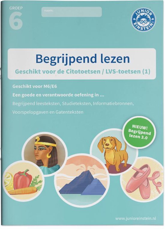 Begrijpend lezen Groep 6 Oefenboek (1)