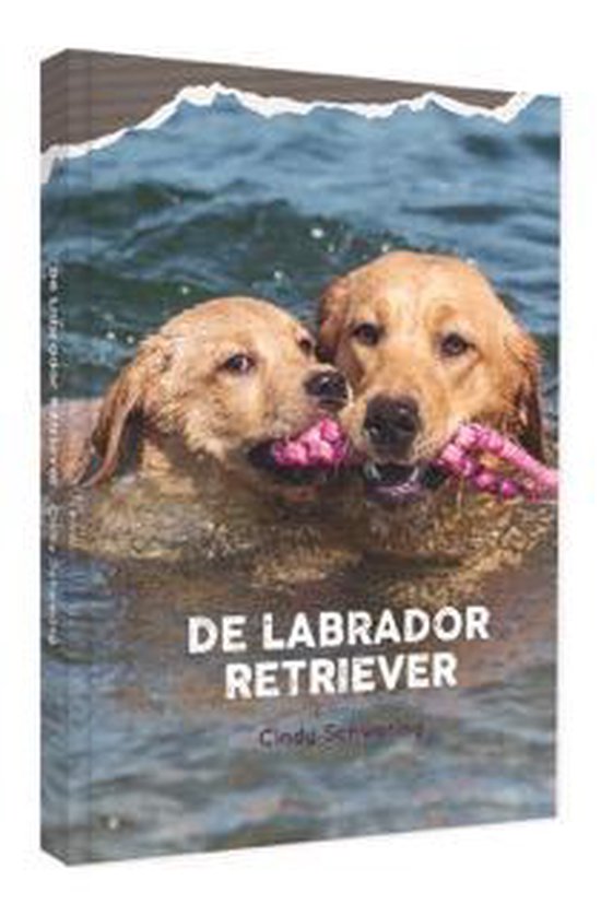 De Labrador Retriever