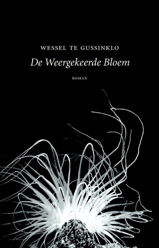 De weergekeerde bloem