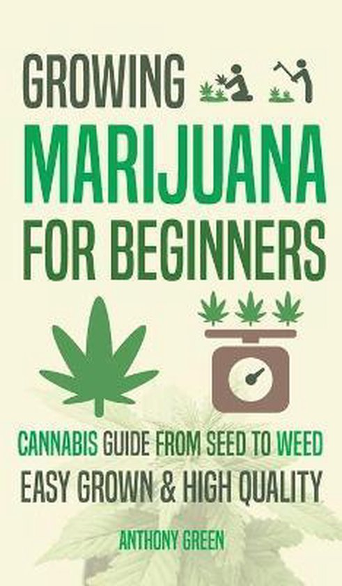 Growing Marijuana for Beginners