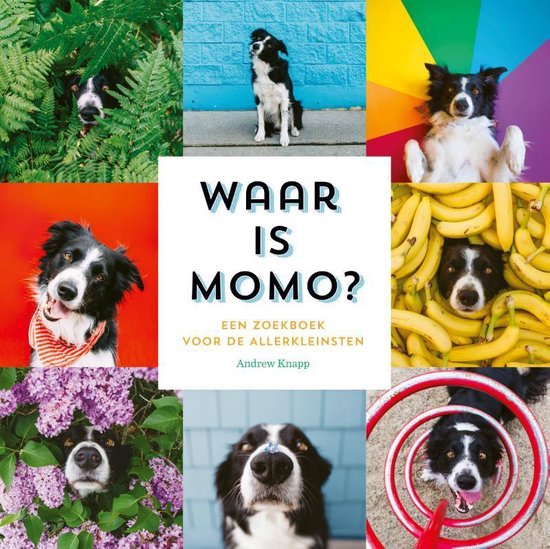 Momo - Waar is Momo?