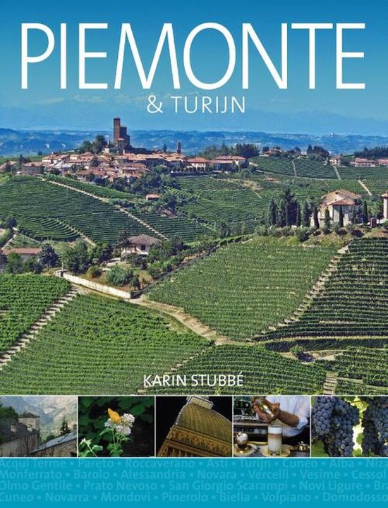 Piemonte & Turijn