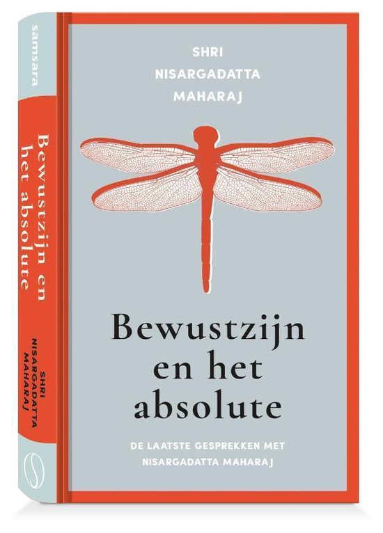 Bewustzijn en het absolute