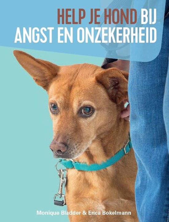 Help je hond bij angst