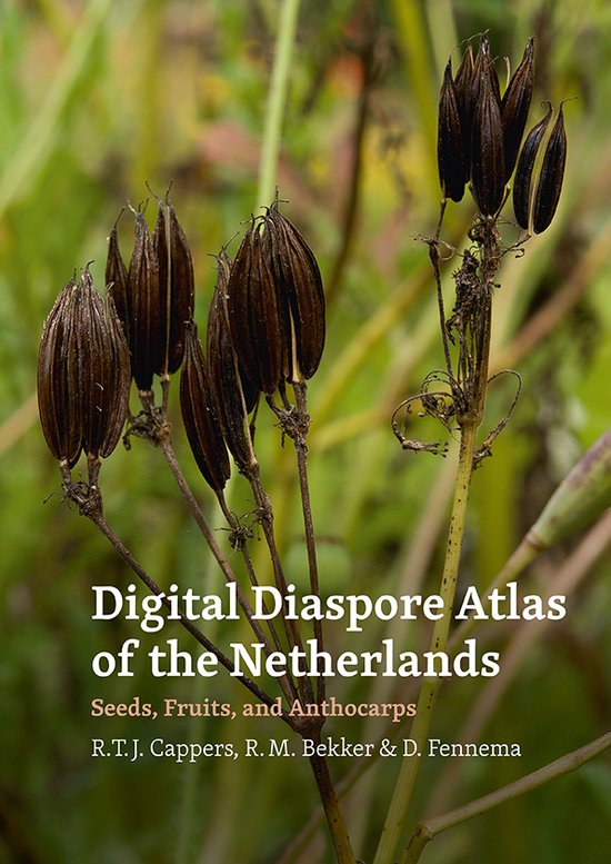 Digital Diaspore Atlas of the Netherlands