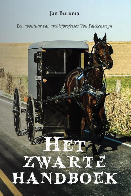 Het zwarte handboek