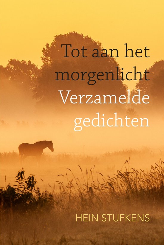 Tot aan het morgenlicht