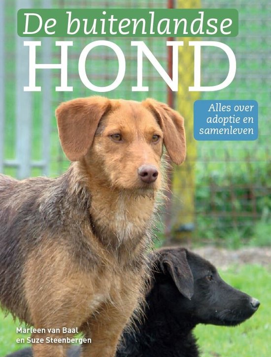 De buitenlandse hond