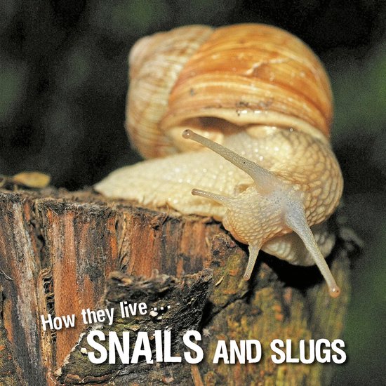 How they live 14 - How they live... Snails and Slugs