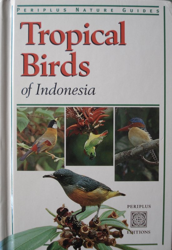 Tropical Birds Of Southeast Asia