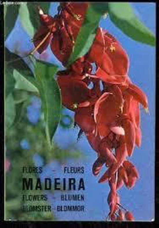 Madeira planten en bloemen