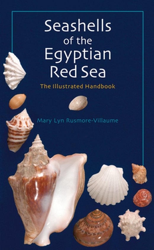 Seashells of the Egyptian Red Sea